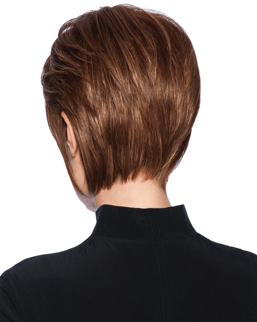 HairDo Wispy Cut Layered Face Framer 9 HairDo Wispy Cut Layered Face Framer