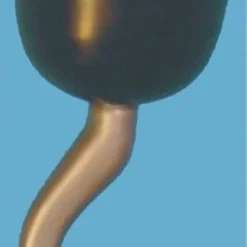 Morris Pirate Hook Costume Accessories