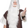 Sepia Wizard Wig & Beard Set Women's Costume Wigs