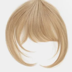 HairDo Clip In Bang