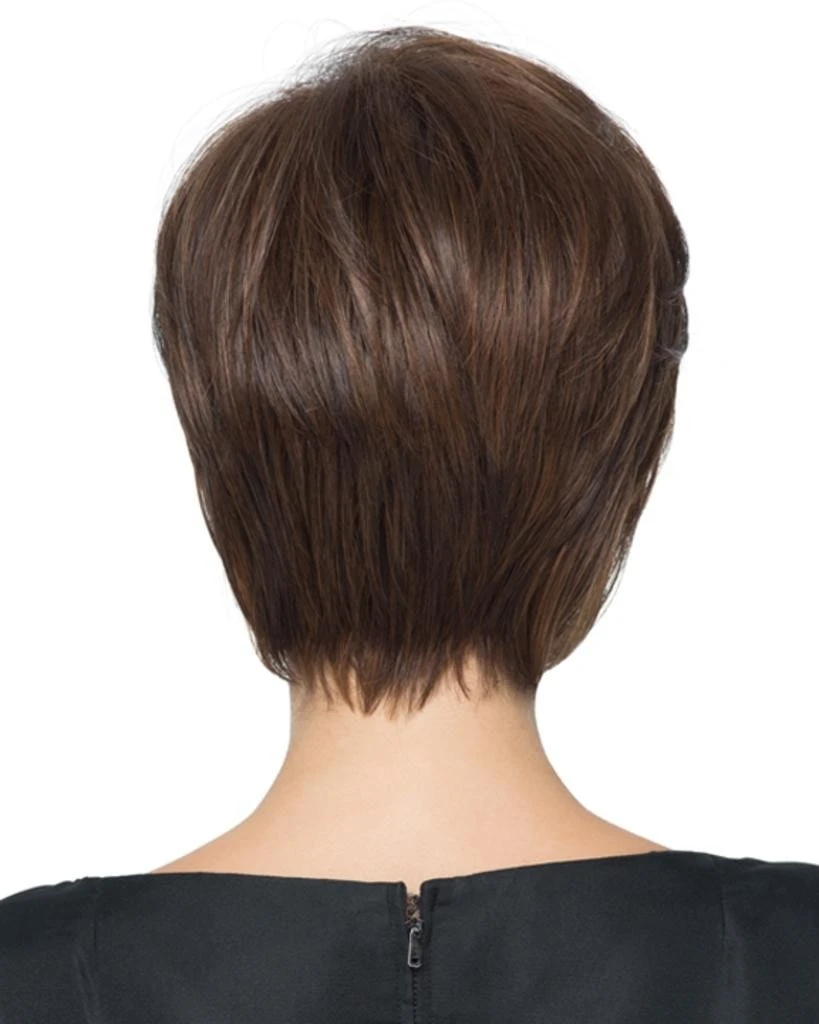 HairDo Wispy Cut Layered Face Framer 12 HairDo Wispy Cut Layered Face Framer