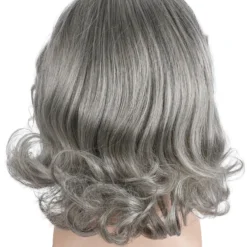 Lacey Costume Ludwig Van Beethoven Wig Men's Costume Wigs