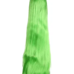 Lacey Costume 1448 Cher No Bangs