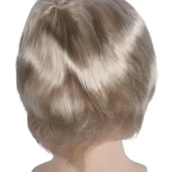 Lacey Costume Special Bargain Mens Wig AT 4121