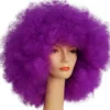 Lacey Costume Super Deluxe Clown Afro