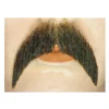 Lacey Costume Walrus Synthetic/Human Blend Handmade Mustache