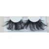 Lacey Costume Costume Accessories Long Feather Eyelashes
