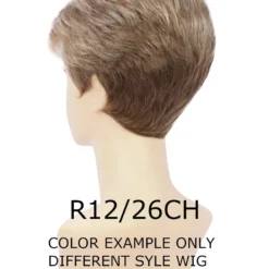 Estetica Designs SYNTHETIC WIGS Perry