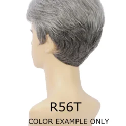 Estetica Designs SYNTHETIC WIGS Petite Coby