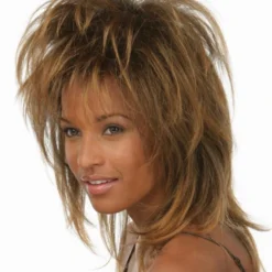 Sepia Tina Turner SYNTHETIC WIGS