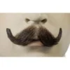 Lacey Costume Small English M10 Human Hair Handmade Mustache