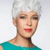 Foxy Silver Reid SYNTHETIC WIGS