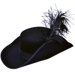 Morris Costume Accessories Cavalier Hat Quality