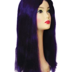 Lacey Costume New Bargain Witch